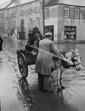 DONKEY AND CART  RAIN